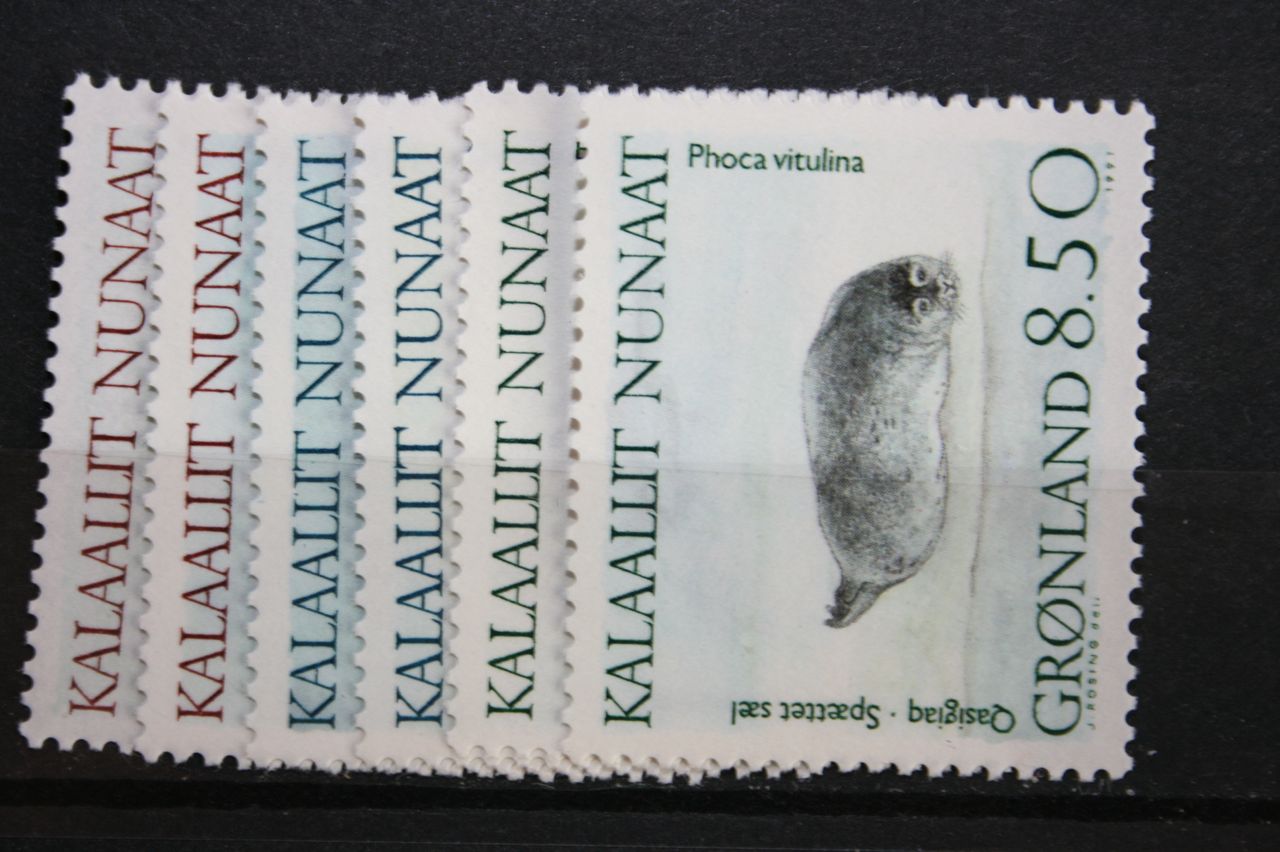 Groe 1991 211-216