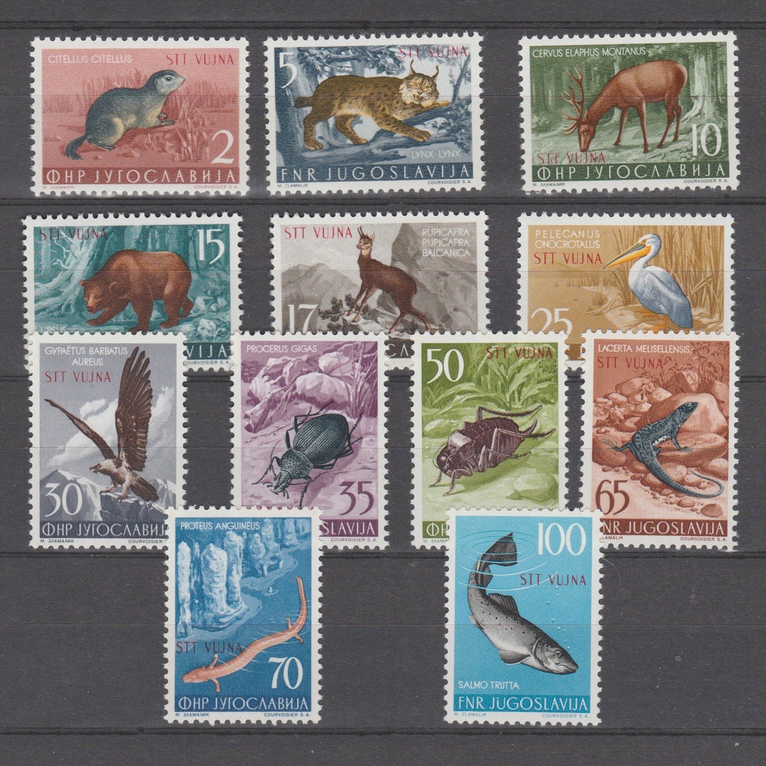 Triëst Zone B 1954 101-112 Fauna