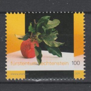 Liechtenstein 2011 1608 Vriendschap met Zwitserland
